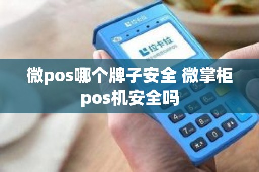 微pos哪个牌子安全 微掌柜pos机安全吗