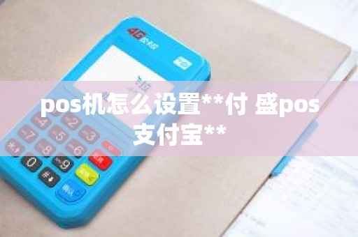 pos机怎么设置**付 盛pos支付宝**