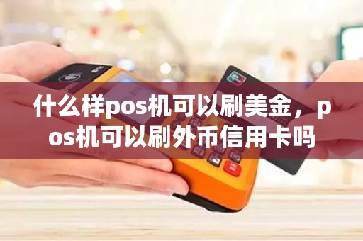 什么样pos机可以刷美金，pos机可以刷外币信用卡吗