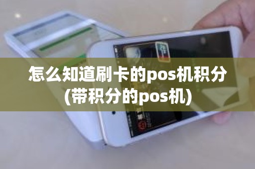 怎么知道刷卡的pos机积分(带积分的pos机)
