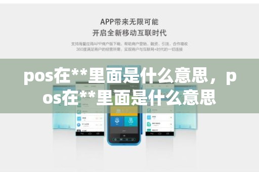 pos在**里面是什么意思，pos在**里面是什么意思