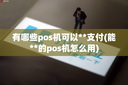 有哪些pos机可以**支付(能**的pos机怎么用)