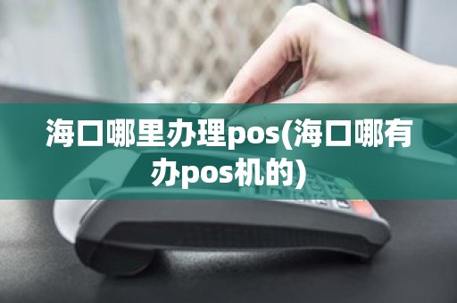 海口哪里办理pos(海口哪有办pos机的)