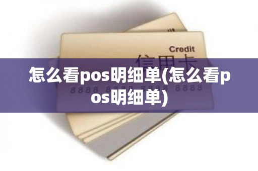 怎么看pos明细单(怎么看pos明细单)