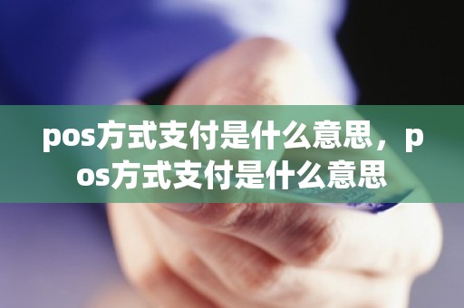 pos方式支付是什么意思，pos方式支付是什么意思