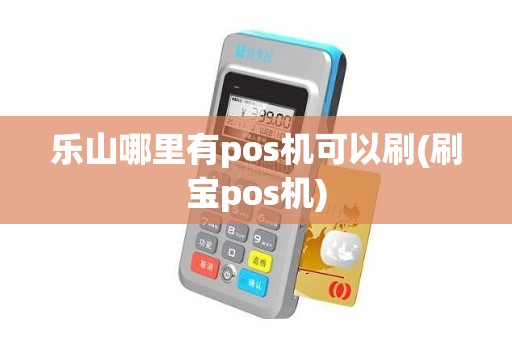 乐山哪里有pos机可以刷(刷宝pos机)