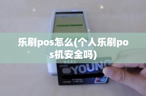 乐刷pos怎么(个人乐刷pos机安全吗)