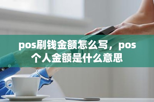 pos刷钱金额怎么写，pos个人金额是什么意思