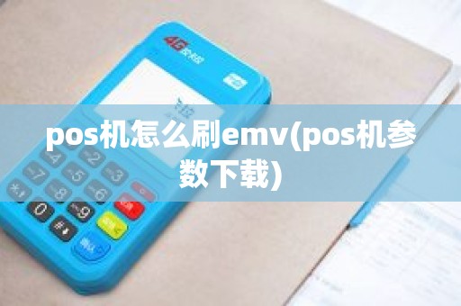 pos机怎么刷emv(pos机参数下载)