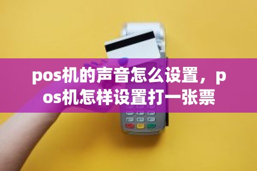 pos机的声音怎么设置，pos机怎样设置打一张票
