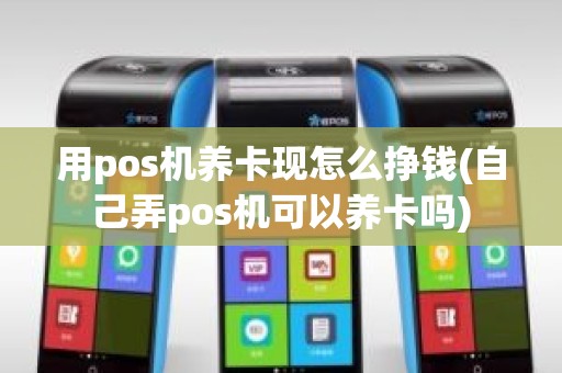 用pos机养卡现怎么挣钱(自己弄pos机可以养卡吗)