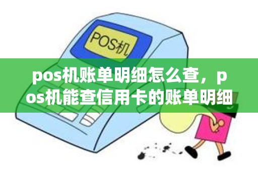 pos机账单明细怎么查，pos机能查信用卡的账单明细吗