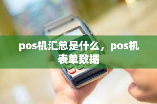 pos机汇总是什么，pos机表单数据