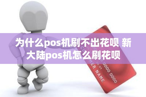 为什么pos机刷不出花呗 新大陆pos机怎么刷花呗