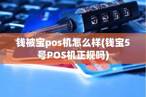 钱被宝pos机怎么样(钱宝5号POS机正规吗)