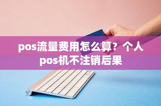 pos流量费用怎么算?个人pos机不注销后果 pos流量费用怎么算?个人pos机不注销后果
