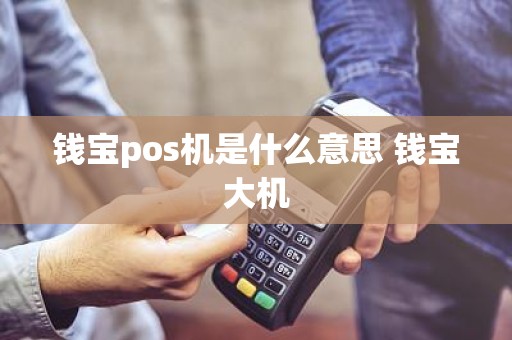 钱宝pos机是什么意思 钱宝大机