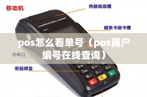 pos怎么看单号（pos商户编号在线查询）