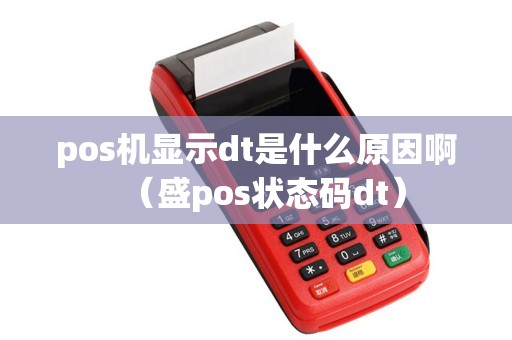 pos机显示dt是什么原因啊（盛pos状态码dt）