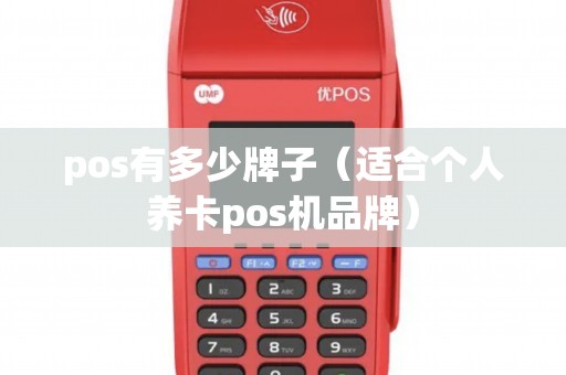 pos有多少牌子（适合个人养卡pos机品牌）