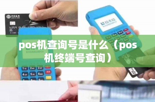 pos机查询号是什么（pos机终端号查询）