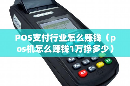 POS支付行业怎么赚钱（pos机怎么赚钱1万挣多少）