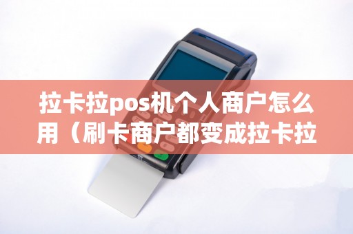 拉卡拉pos机个人商户怎么用（刷卡商户都变成拉卡拉）