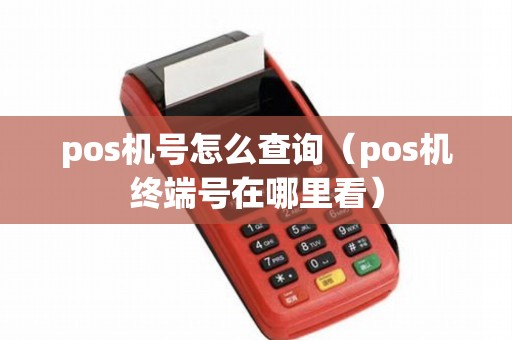 pos机号怎么查询（pos机终端号在哪里看）