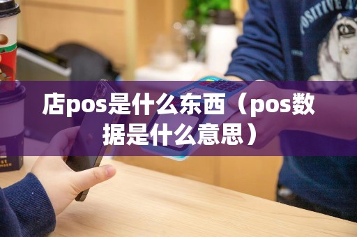 店pos是什么东西（pos数据是什么意思）