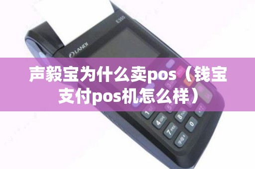 声毅宝为什么卖pos（钱宝支付pos机怎么样）