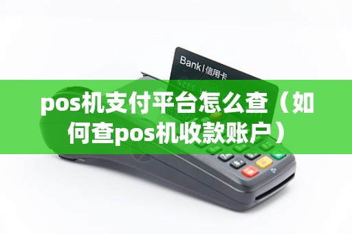 pos机支付平台怎么查（如何查pos机收款账户）