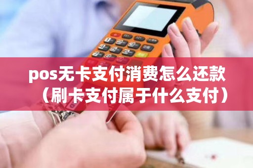 pos无卡支付消费怎么还款（刷卡支付属于什么支付）
