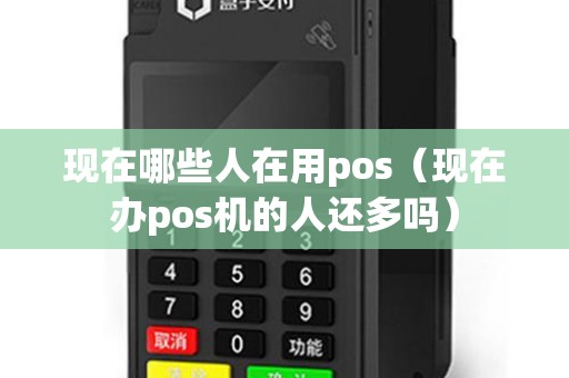 现在哪些人在用pos（现在办pos机的人还多吗）