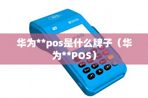 华为**pos是什么牌子（华为**POS）