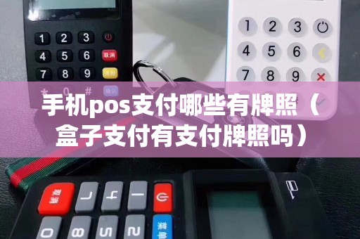 手机pos支付哪些有牌照（盒子支付有支付牌照吗）