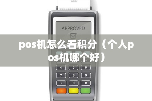 pos机怎么看积分（个人pos机哪个好）