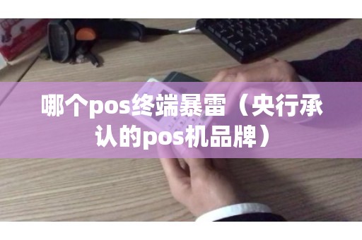 哪个pos终端暴雷（央行承认的pos机品牌）