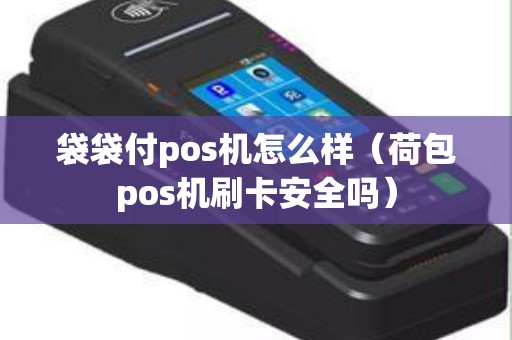 袋袋付pos机怎么样（荷包pos机刷卡安全吗）
