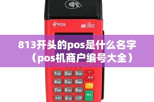 813开头的pos是什么名字（pos机商户编号大全）