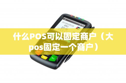 什么POS可以固定商户（大pos固定一个商户）