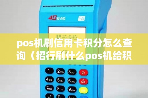 pos机刷信用卡积分怎么查询（招行刷什么pos机给积分）