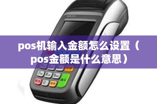 pos机输入金额怎么设置（pos金额是什么意思）