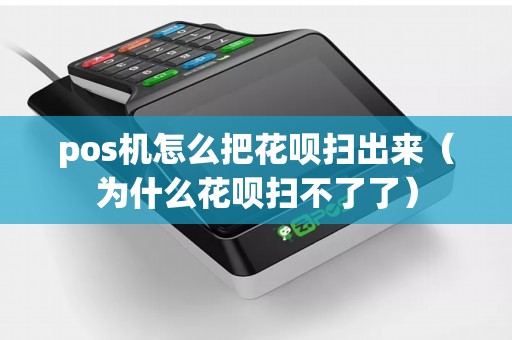 pos机怎么把花呗扫出来（为什么花呗扫不了了）