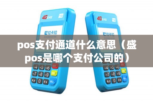 pos支付通道什么意思（盛pos是哪个支付公司的）