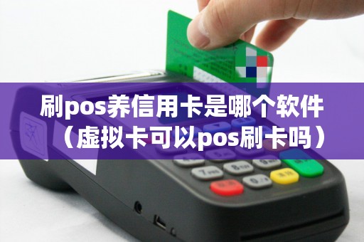 刷pos养信用卡是哪个软件（虚拟卡可以pos刷卡吗）