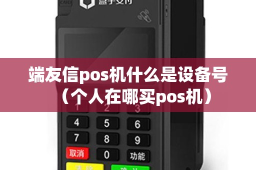 端友信pos机什么是设备号（个人在哪买pos机）