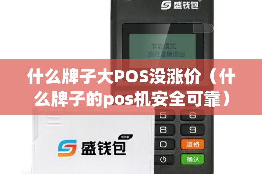 什么牌子大POS没涨价(什么牌子的pos机安全可靠) 什么牌子大POS没涨价(什么牌子的pos机安全可靠)