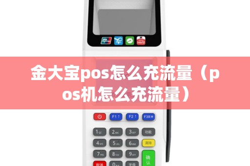 金大宝pos怎么充流量(pos机怎么充流量) 金大宝pos怎么充流量(pos机怎么充流量)