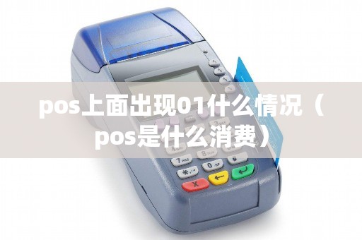 pos上面出现01什么情况（pos是什么消费）