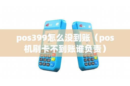 pos399怎么没到账（pos机刷卡不到账谁负责）